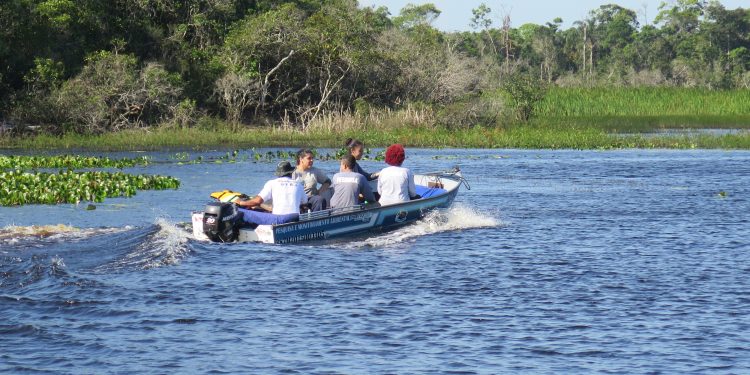 Uma experiência de campo