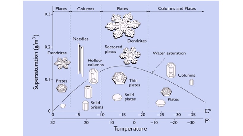 figura 2