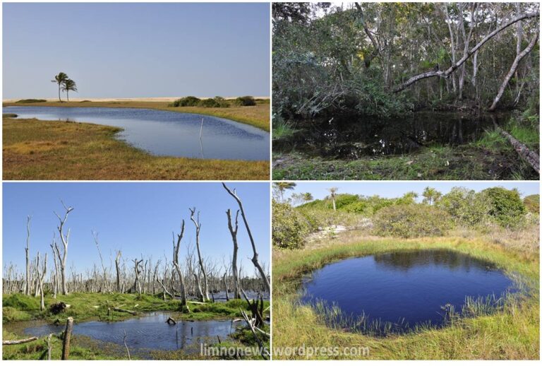 LimnoNews Parque Nacional da Restinga de Jurubatiba (2)