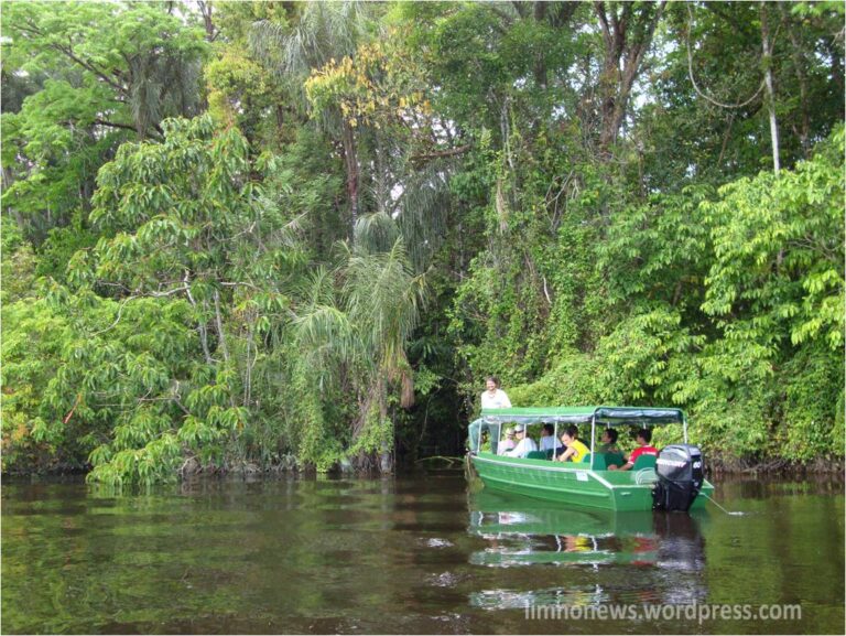 LimnoNews Pronex – Biogeoquímica do Carbono e do Mercúrio na Amazônia (2)