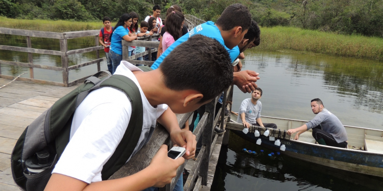 Pulando os altos muros da Universidade: a visão de um professor universitário iletrado em comunicação com a sociedade