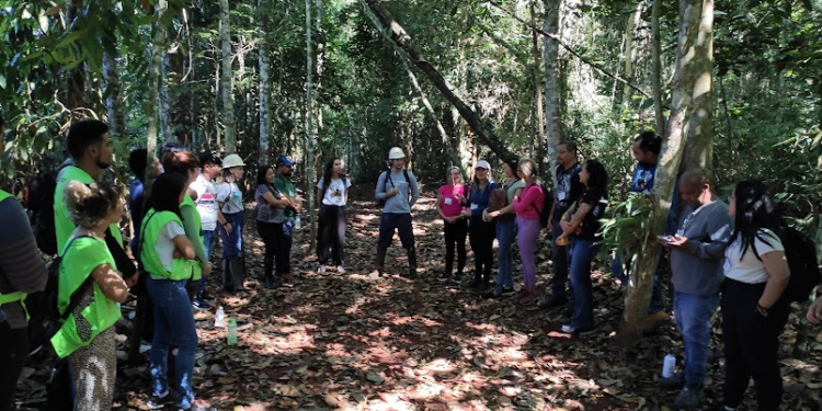 O que nos move na ciência e na vida?