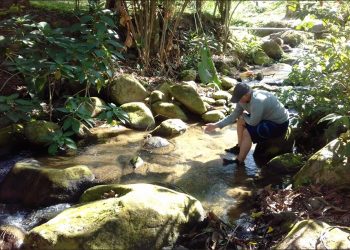 Transporte, transformação e destino: como elementos químicos são mapeados em ecossistemas aquáticos?