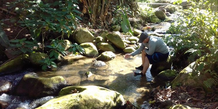 Transporte, transformação e destino: como elementos químicos são mapeados em ecossistemas aquáticos?