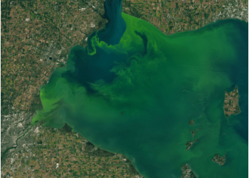 A vista lá de cima: um voo limnológico sob a lente do geoprocessamento