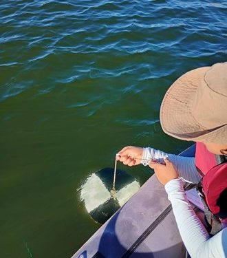 O que são características químicas e físicas da água e como isso impacta sua saúde?