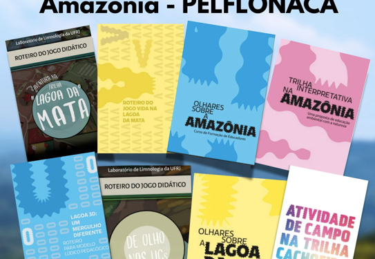 Como a pesquisa funciona nos bastidores? Uma perspectiva a partir do Projeto de Educação Ambiental de Carajás